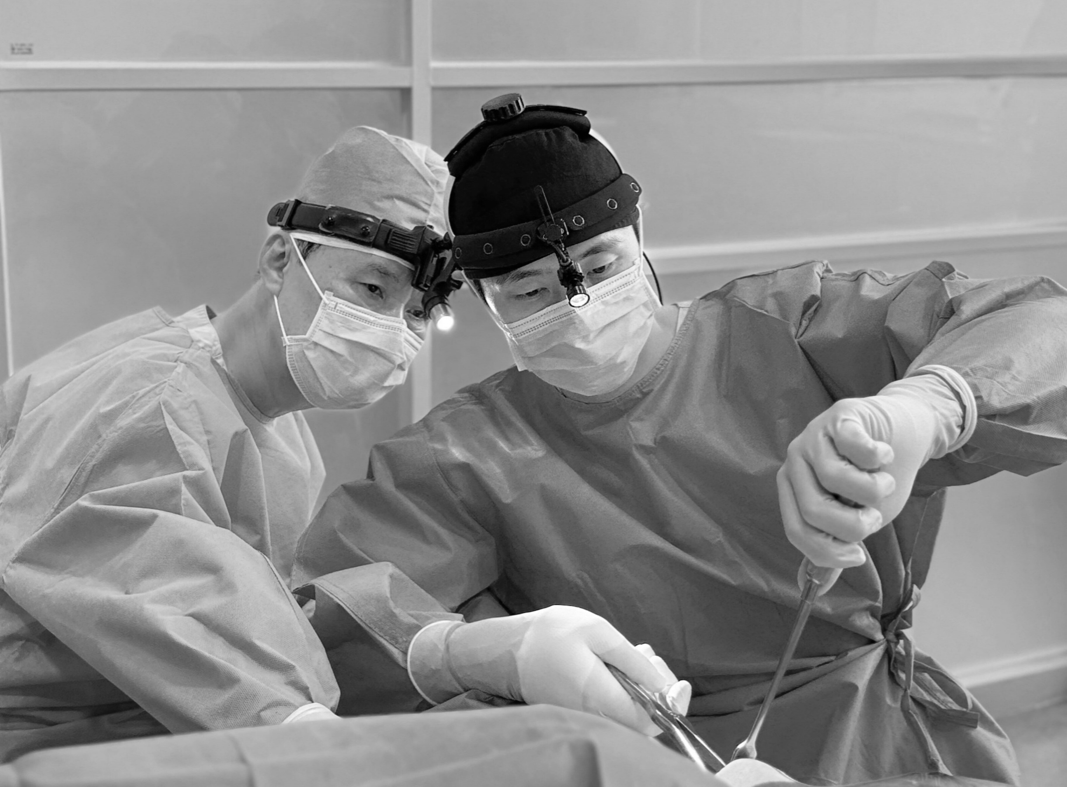 엄나구모의 역사